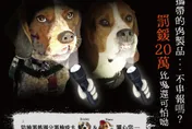 79萬人狂讚！台灣檢疫犬「I 吸 YOU」紅到國外