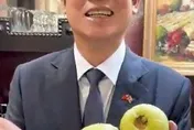 一顆紅心芭樂見證台史邦誼　賴清德讚農技團深耕成果：味道非常甜美