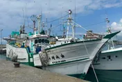 16噸漁船、違規貨櫃屋通通賣！屏東5月聯合拍賣明登場