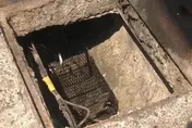 台北真的滿街老鼠？兩派網友吵翻　他嘆：人心髒了