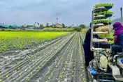 花蓮堰塞湖重災區災後復原　農業部8月完成首版造林指引