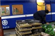 台鐵行包車淪動物運輸煉獄！　交通部允諾改善