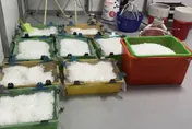 製毒工廠隱身台南高雄鄉間　刑事局逮4嫌扣2千萬毒品