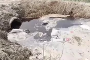 農田旁黑水直流！徐州羊皮加工廠偷排強鹼污水　央視狠批毒水溝
