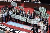主張「零軍購」！區桂芝：「台灣人就是中國人」承認這點和平就來了