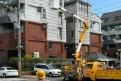 鳥獸碰觸線路！台中南屯百戶突停電　台電1小時搶修完畢
