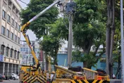 松鼠碰電桿釀故障！高雄148戶清晨停電　台電：已復電