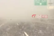 影/驚人！河北高速現「白色風暴」　楊絮大爆發能見度不足1米