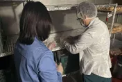 劍湖山飯店70人就醫「竟非食物中毒」　衛生局：檢出2病毒