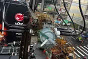 桃園人注意！雨天鳥築巢「電桿閃火花」釀2230戶停電
