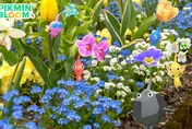 皮友快看！皮克敏社群週5/23登場　限時7天補抓「錯過徽章」