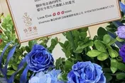 睽違12年！孫燕姿首攻大巨蛋「大咖花籃海」  蕭亞軒感性告白