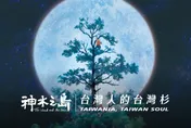 紀錄片《神木之島》上映首日「票房掛零」　導演淚：努力不夠