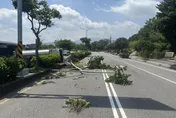 新北三芝灑水車爆胎失控翻覆　騎上安全島駕駛受困
