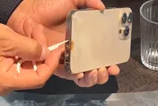 影/貪吃龍膽石斑一口吞iPhone！8個月後魚體剖腹搜獲　開機失敗