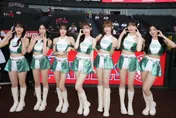 洋基女孩前進天使主場　美國球迷瘋拍：太可愛了吧