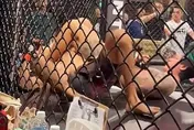 格鬥/曾打爆孫安佐！燒打雞越級挑戰當場骨折　金鋼刀關節技秒殺