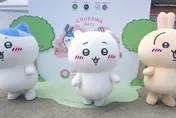 萬人瘋搶！吉伊卡哇台北特展特典票開賣　三巨頭現身華山萌翻粉絲
