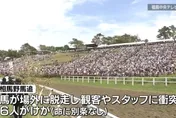 日本福島縣傳統祭典傳意外！馬匹暴衝撞人群釀6傷