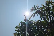 連5日飆35度！醫示警4類人易「熱傷腦」恐神智不清
