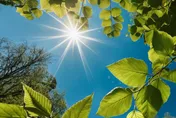 小暑一到脾氣炸、臉冒痘、夜裡熱醒？中醫師：暑熱惹的禍