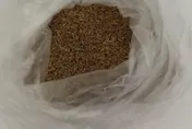 印度小茴香農藥超標近10倍！越南榴槤、大陸紅棗乾同遭攔截