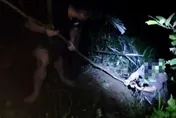 影/新竹山區休旅車滑落邊坡2人墜谷　警即刻救援