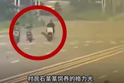 影/猛犬暴竄馬路！陸38歲女騎士遭「攔腰撞飛」　頭部重創慘死