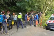 新北三峽山區登山客遭蜂螫　3人受傷警消急救援
