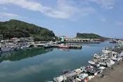 夜釣小卷正夯！深澳漁港海天步道、水豚岩打卡景點一次滿足