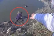 影/新北女河濱公園跌落大漢溪　女警奮不顧身跳水救援