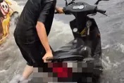 影/豪雨狂灌雙北！蘆洲馬路變水上樂園　網嘆：大家都在開船