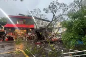 影/台南縣城隍誕辰遇老樹倒　廖大乙：兵馬擔厄恐有大事將現
