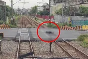桃園男大字形躺鐵軌　台鐵雙向列車延誤