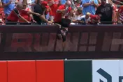 MLB/為了撿全壘打球　老爸抓兒腳「垂降」超危險