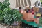 高雄大寮驚見《進擊的巨人》真實版！台88橋下脫光光