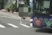 前妻為兒子參選拉票竟慘死公車輪下！周勝考悲慟自責