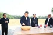 穩糧食！習近平赴山東德州農村考察　喊力保重要農產品穩定供給