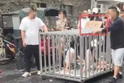 湖南2正妹被關「浸豬籠」遊街！竟是拍片「博眼球」警怒查