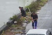 影/鴨子之亂！豪雨沖破屏東鴨寮「民眾抓去加菜」　吃一口關5年