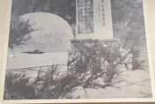 修到變形？溧陽博物館疑展出AI生成照　館方認「修復」急撤