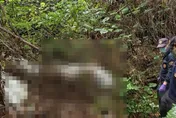 「保鮮膜木乃伊」遭棄置荔枝園　高大成想不透「詭異行徑」