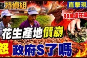 花生農：活不下去！美國花生0關稅大錯！盤商收購砍半
