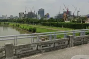 北市成美橋下「草叢竟見男屍」！案情釐清中