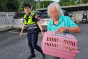 聰明橘貓走失後自行「報案」！花蓮警助阿嬤尋回愛貓