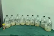 肺洗出3L「牛奶」！陸女童久咳2個月　醫揭患「肺泡蛋白沉積症」