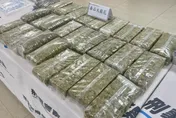 影/跨國桂圓包裹藏6公斤大麻　刑事局聯手海關逮2嫌