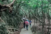 不斷更新/巴威逼近！宜蘭童玩節今晚起休園　屏東多處步道關閉