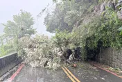 巴威釀災！陽明山區泉源路土石崩落　北市府搶通中