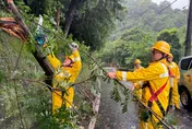 巴威襲台害24萬戶停電　台電：連日搶修復電率超過95%